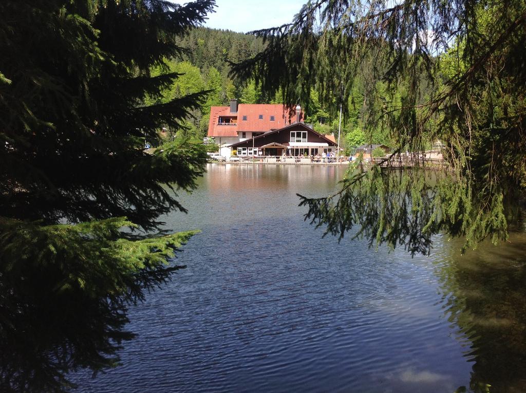 Self-Check-In Ferienwohnungen & Apartments Am Bergsee Triberg im Schwarzwald Εξωτερικό φωτογραφία